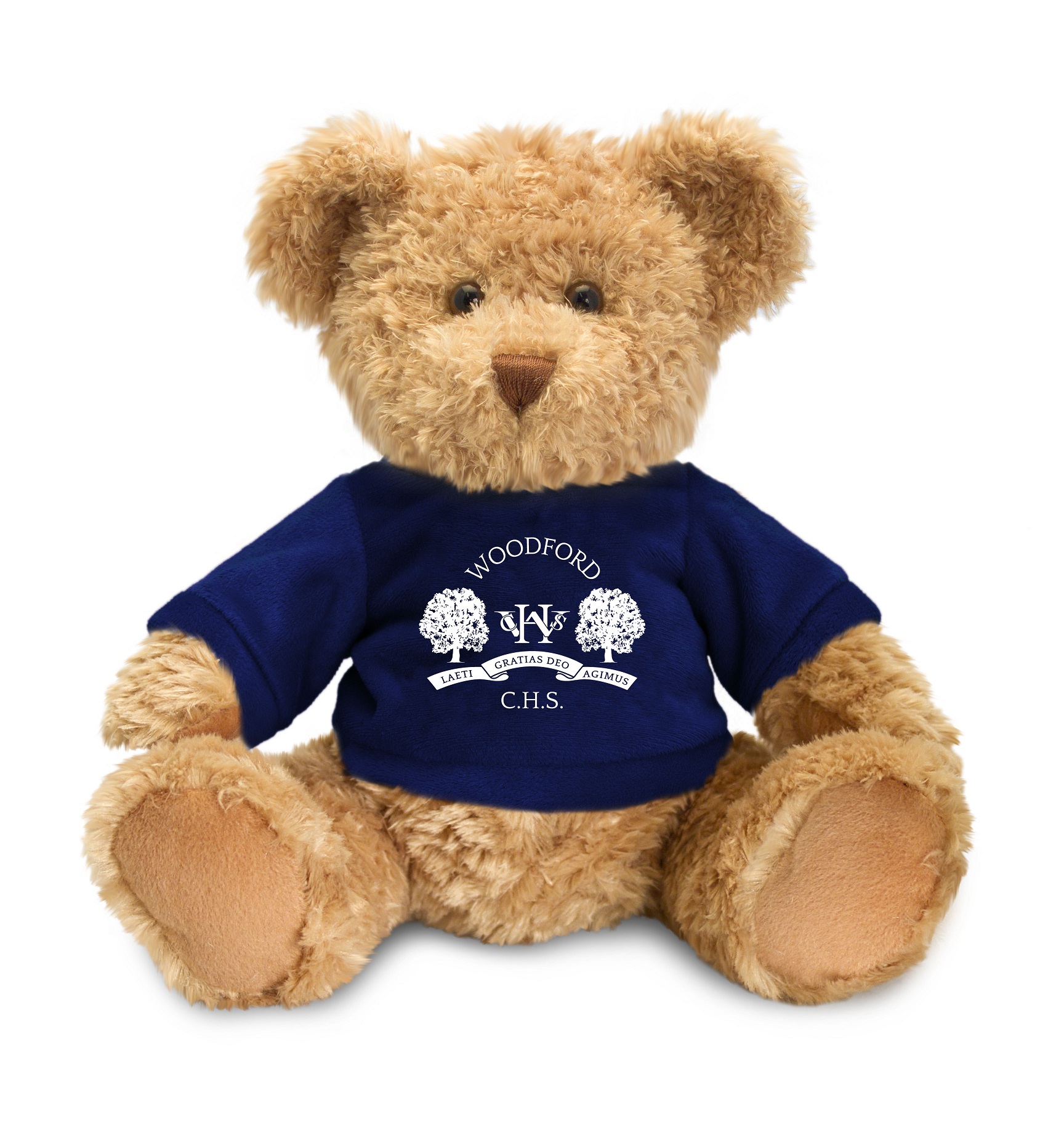 Meet Winston- Our Woodford Bear