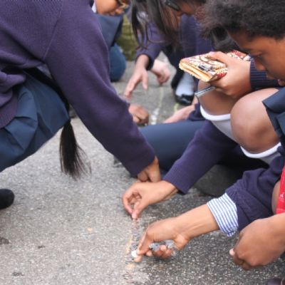 5 penny race 2013 for Leukemia- Cancer Research